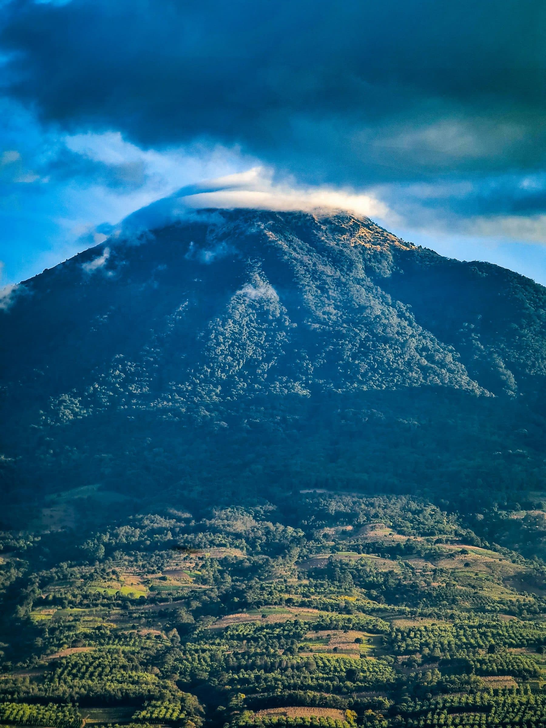 Coffee-growing landscape in Alta Verapaz, Guatemala